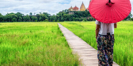 medium_8a0092ff90001ce70190015c4f616055-Chiang-Mai-Thailand-Reisfeld-Frau