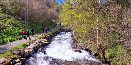 medium_8a0092ff91351a5f01913670def506fe-Andorra-Ordino-Ruta-del-ferr-Eisenweg-Wanderweg medium_8a0092ff91351a5f01913670def506fe-Andorra-Ordino-Ruta-del-ferr-Eisenweg-Wanderweg