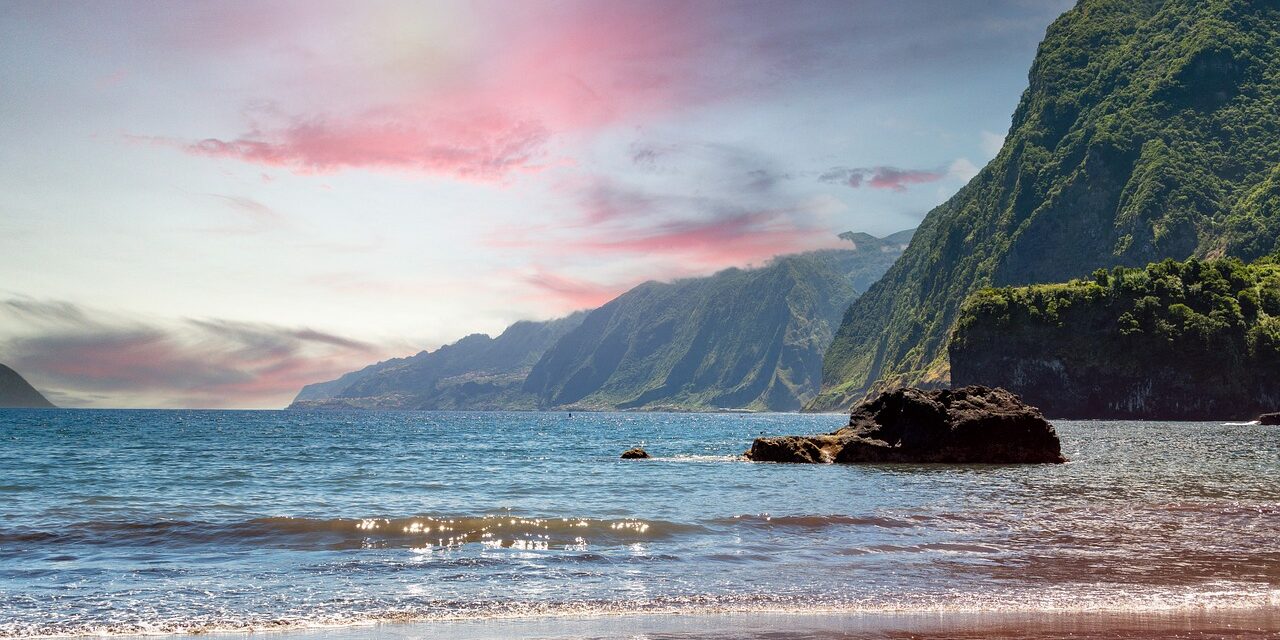 nature-6777991_1280 nature-6777991_1280