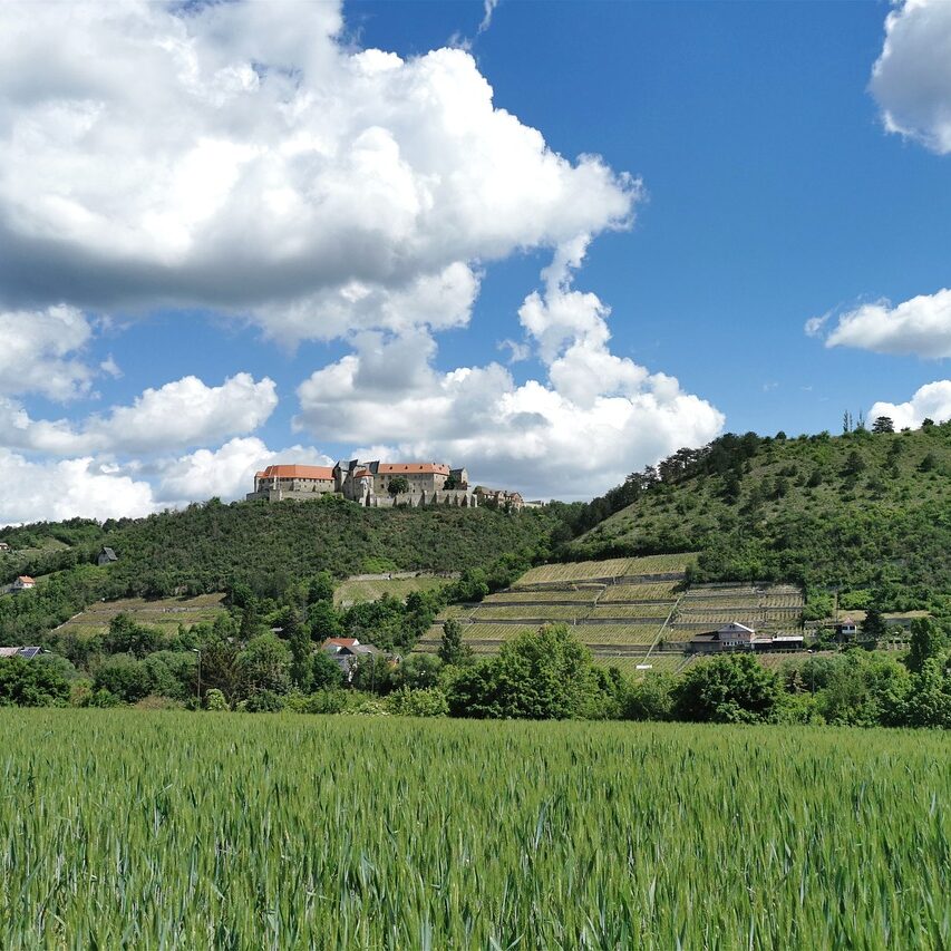 neuchatel-castle-7459696_1280