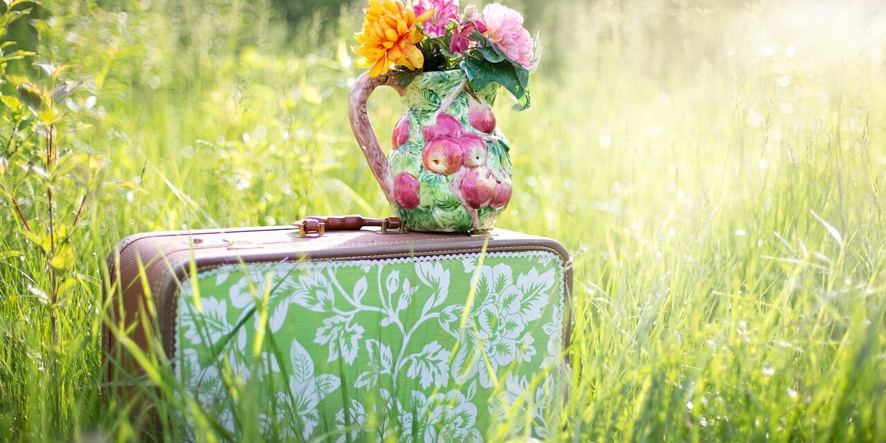 summer-still-life-785231_1280