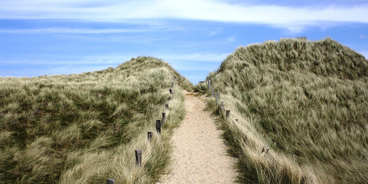 sylt-2771653_1280 sylt-2771653_1280