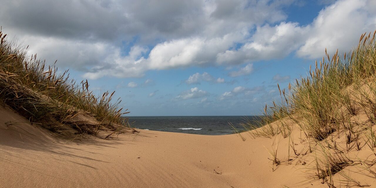sylt-4416939_1280 sylt-4416939_1280