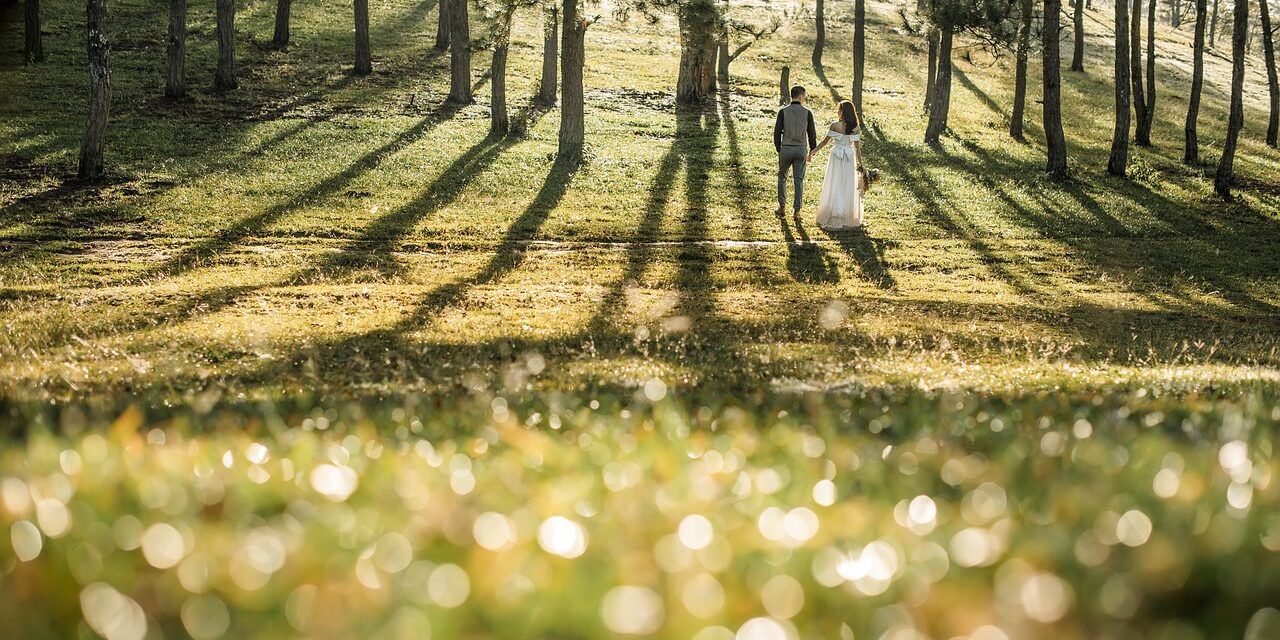 wedding-6674650_1280 wedding-6674650_1280