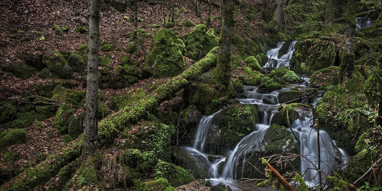 wehraschlucht-4711119_1280 wehraschlucht-4711119_1280