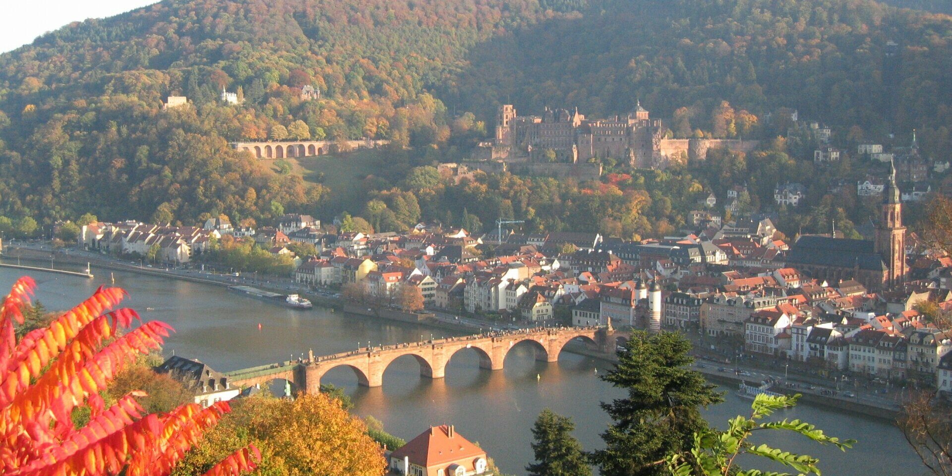 wohlfuehl-hotel-neu-heidelberg-umgebung-90042