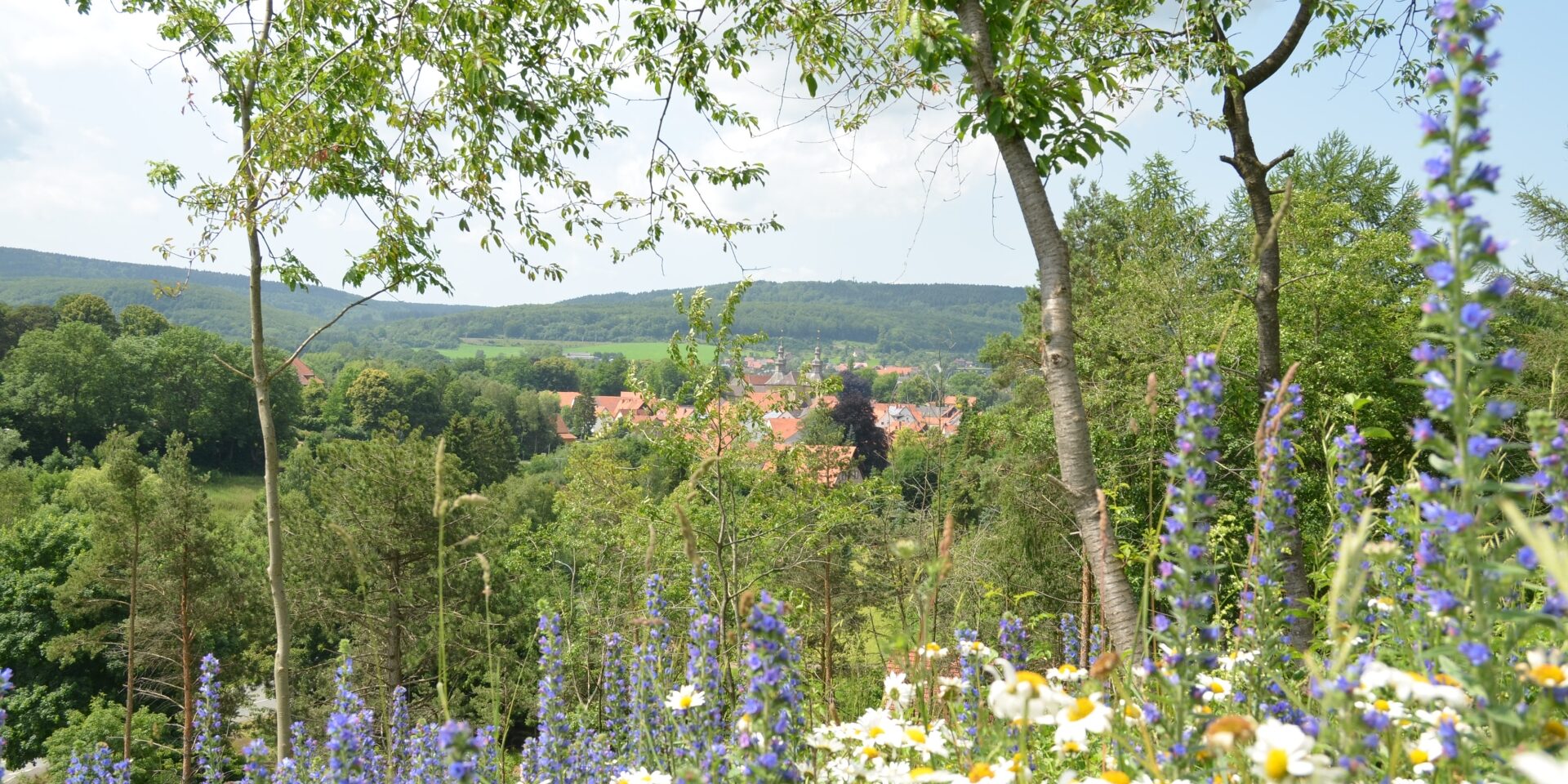 wohlfuehlhotel-der-jaegerhof-umgebung-100452